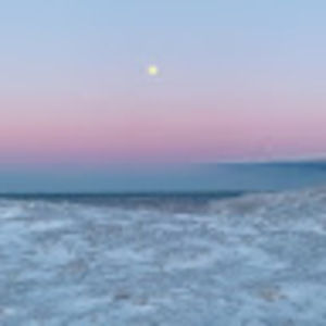 Meet your Posher, Isabella